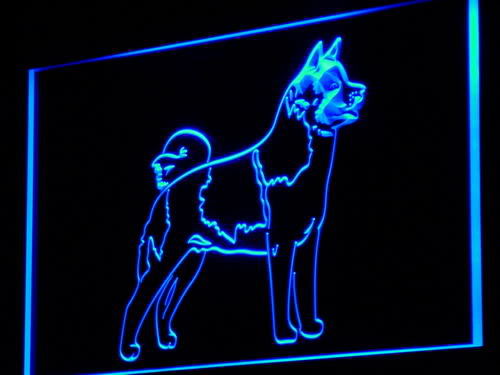 Akita Dog Pet Shop